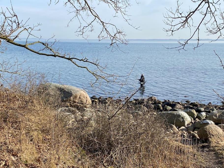 Apartament Eskaerhus Pa Tasinge, Taet Pa Svendborg - Afdeling Med Egen Indgang Troense Zewnętrze zdjęcie